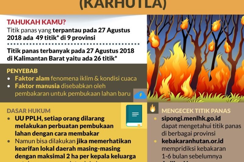 Kebakaran Hutan Nasional: Ancaman yang Membara dan Upaya Mitigasinya