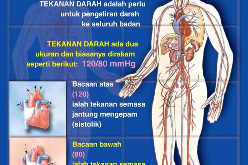 Mengenal Lebih Dekat Tekanan Darah Tinggi: Ancaman Tersembunyi Bagi Kesehatan Jantung