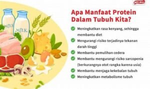 Protein Shake: Sahabat Setia Otot yang Perlu Anda Kenali