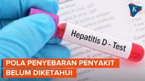 Hepatitis: Perkembangan Terkini dan Pemahaman Mendalam