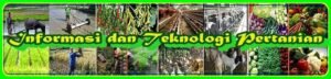 Revolusi Pertanian: Memanfaatkan Teknologi untuk Masa Depan Pangan yang Berkelanjutan