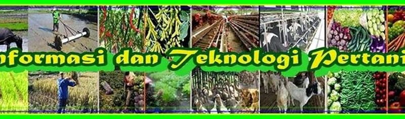 Revolusi Pertanian: Memanfaatkan Teknologi untuk Masa Depan Pangan yang Berkelanjutan