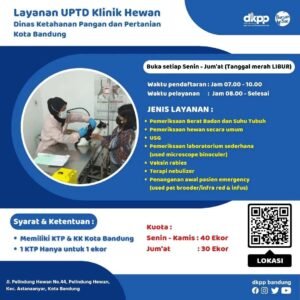 Vaksinasi Gratis Bandung: Perlindungan untuk Warga, Investasi untuk Masa Depan