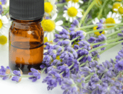 Aromaterapi: Menjelajahi Kekuatan Penyembuhan Aroma
