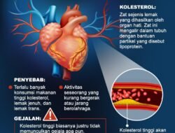 Kolesterol Tinggi: Memahami, Mengelola, dan Mencegah Musuh Tersembunyi Jantung Anda