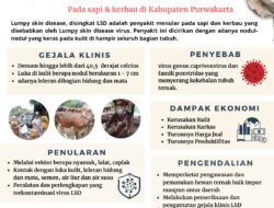 Mengenal Lebih Dekat Penyakit Cacar Monyet: Ancaman Baru di Era Globalisasi