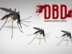 Tentu, mari kita bahas mengenai peningkatan kasus Demam Berdarah Dengue (DBD) dengan gaya bahasa yang mudah dipahami.