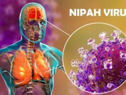 Waspada Ancaman Baru: Memahami Potensi Wabah di Asia dan Kesiapan Menghadapinya