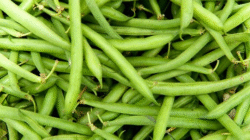 Lima Khasiat Penting Dari Konsumsi Buncis