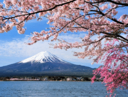 Panduan Liburan Hemat ke Jepang: Tips, Rute, dan Budget Realistis