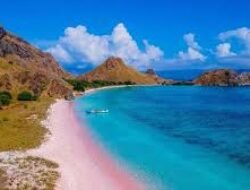 Rahasia Kecantikan Alam Labuan Bajo Selain Melihat Komodo Di Taman Nasional Tersebut